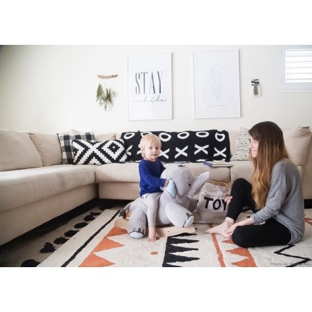 Pestav vaip Azteca Natural Terracota 120 x... | FreshDesign.ee