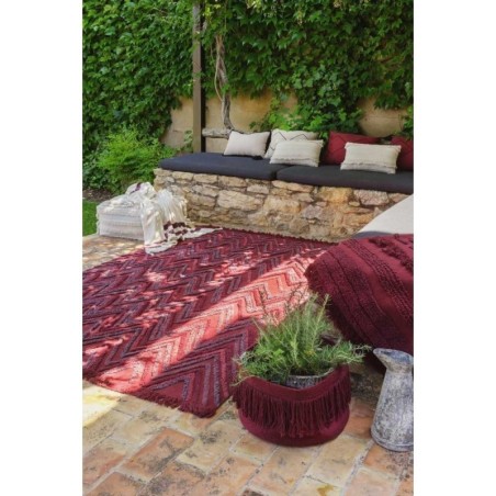 Pestav vaip Earth Savannah Red 170 x 240 cm