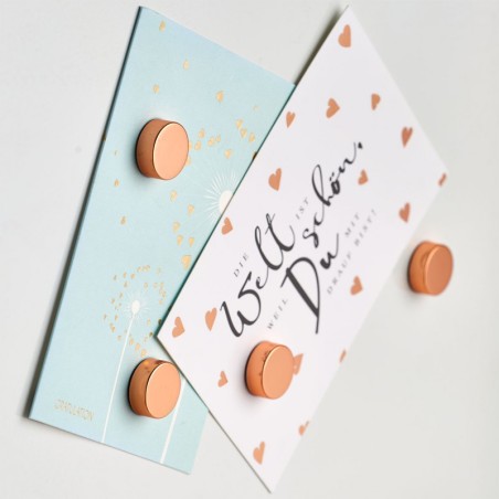 Magnetite komplekt, 4 tk, extra strong