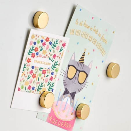 Magnetite komplekt, 4 tk, extra strong