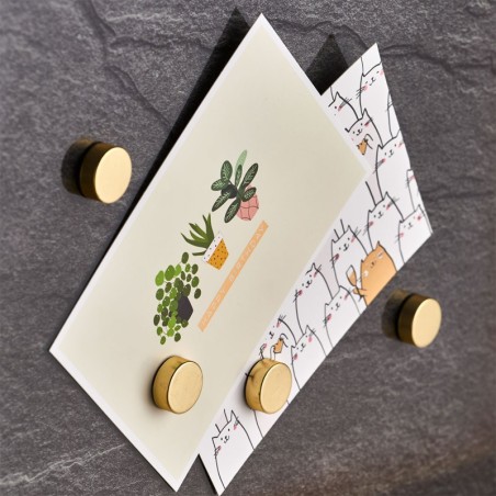 Magnetite komplekt, 4 tk, extra strong | FreshDesign.ee