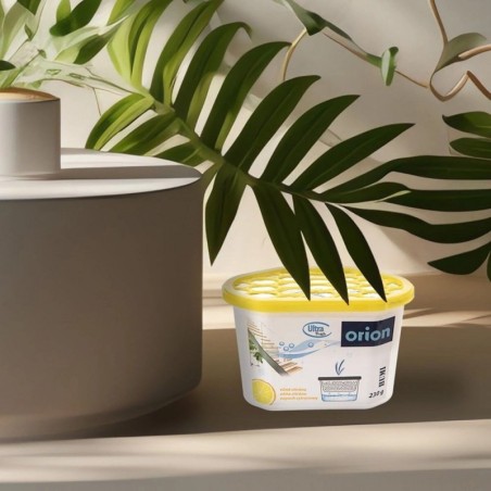 ULTRA FRESH sidruni niiskusimaja 230 g