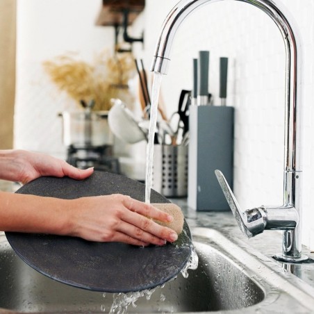 Looduslik ECO švamm