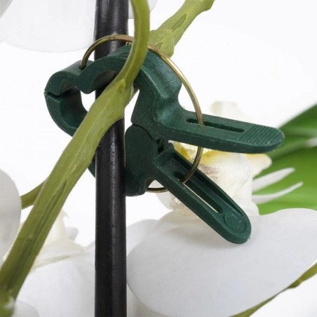 Taimeklambrid 20 tk. | FreshDesign.ee