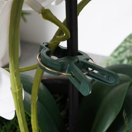 Taimeklambrid 20 tk. | FreshDesign.ee