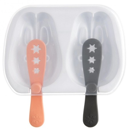 Kaanega jäätisevorm | FreshDesign.ee