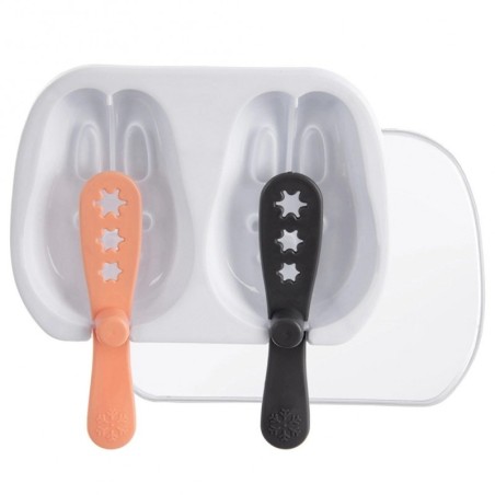 Kaanega jäätisevorm | FreshDesign.ee