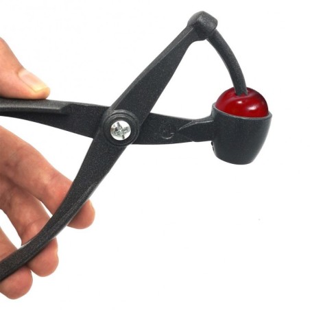 Kirsikivieemaldaja alumiinium | FreshDesign.ee