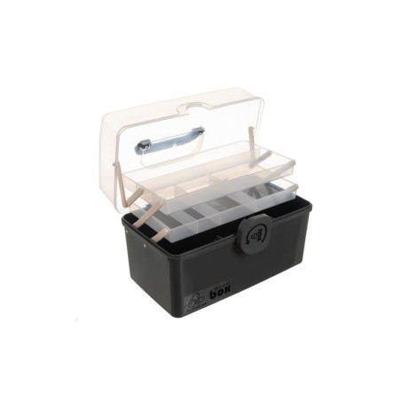 Meditsiini karp organisaator