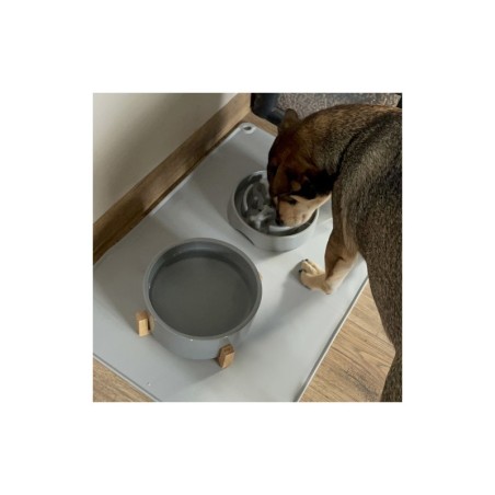 Silikoonist kausside alune matt, hall