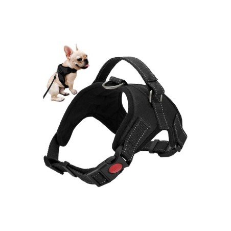 Survevabad koera rakmed traksid S | FreshDesign.ee