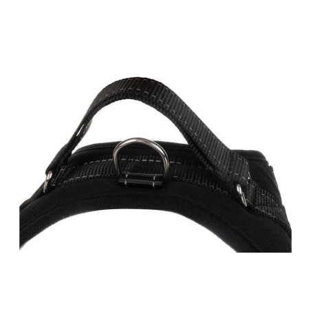 Survevabad koera rakmed traksid S | FreshDesign.ee