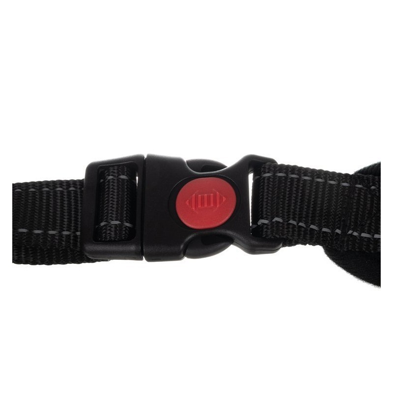 Survevabad koera rakmed traksid L | FreshDesign.ee