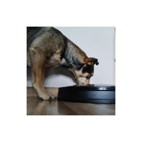 Automaatne toitja lemmikloomale | FreshDesign.ee