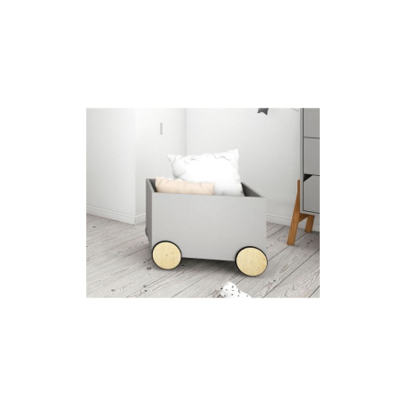 Suur mänguasjakast hall