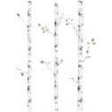 Seinakleebis kased | FreshDesign.ee
