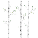 Seinakleebis kased | FreshDesign.ee