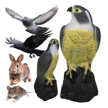 Linnupeletus – pistrik