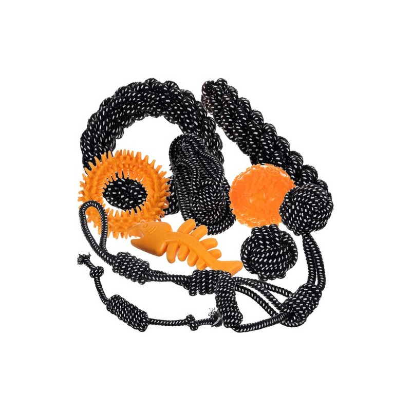 Mitmekülgne koera mänguasjakomplekt – 10 vastupidavat lemmiklooma mänguvahendit