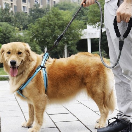 Vastupidav Helkuriga Koera Treeningrihm 5m | Turvaline ja Mugav