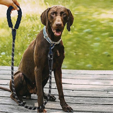 Vastupidav Helkuriga Koera Treeningrihm 5m | Turvaline ja Mugav