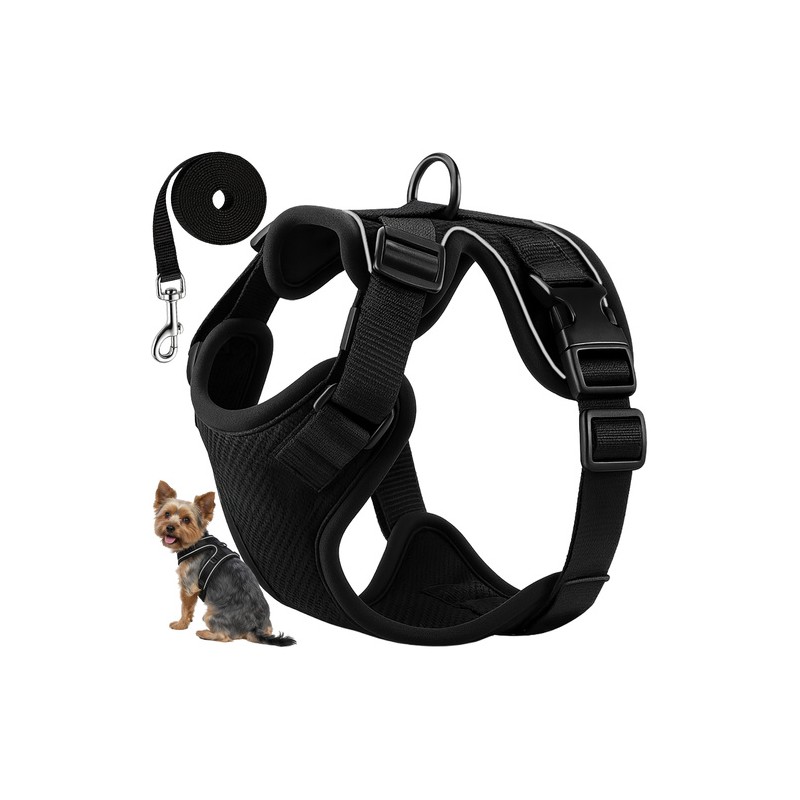 Survevabad reguleeritavad lemmiklooma rakmed, S-suurus, koos jalutusrihma ja helkuritega