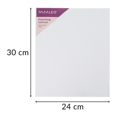 Loovmaali komplekt 26 tk Maaleo 26338