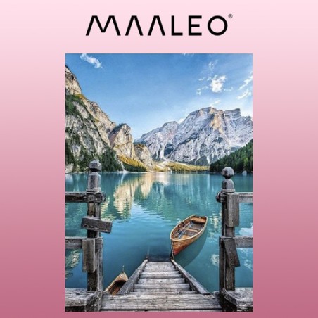 Maalimine numbrite järgi 40x50cm - Maaleo maal 22785