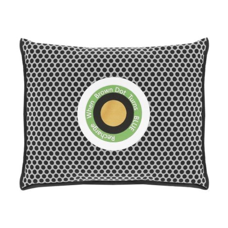 Korduvkasutatav auto niiskuse absorbeerija ja õhukuivati silikageeliga