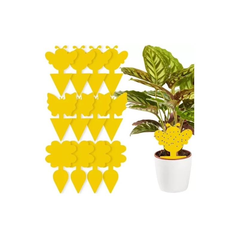 Kollased Liimpüünised Taimedele – 12 Tk Kahjuripüünis Sise- ja Välistaimedele