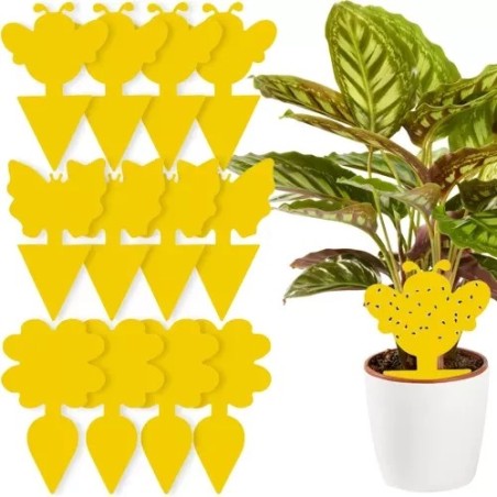 Kollased Liimpüünised Taimedele – 12 Tk Kahjuripüünis Sise- ja Välistaimedele