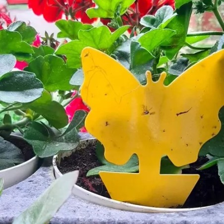 Kollased Liimpüünised Taimedele – 12 Tk Kahjuripüünis Sise- ja Välistaimedele