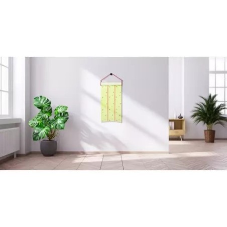 Tõhus Putukatõrje Kleepriba Rull 10m – Suur Mürgivaba Liimpüünis