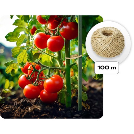 Aiatunnel tsingitud terasraami ja UV4-kindla kattega, roheline, 3 x 2 m