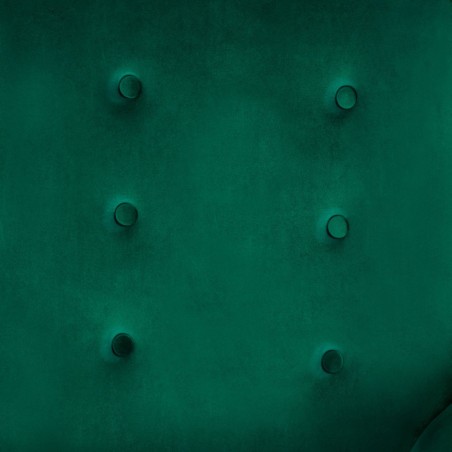 Tiibtugitool jalatoega, pudelroheline