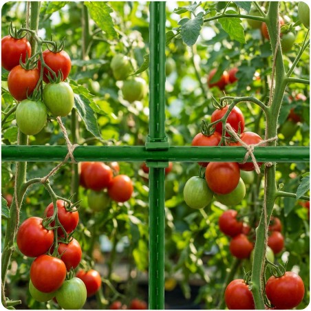 Polusühendused 11mm tüüp 2 tomatitaimedele Plonos PL-941 roheline 10tk