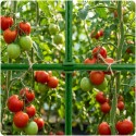 Polusühendused 11mm tüüp 2 tomatitaimedele Plonos PL-941 roheline 10tk