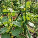 11mm A-tüüpi poolusliitmikud tomatitaimedele Plonos PL-941 must 4tk