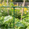 11 mm tüüpi 3-pooluselised pistikud tomatitaimede jaoks Plonos PL-941 roheline 4tk