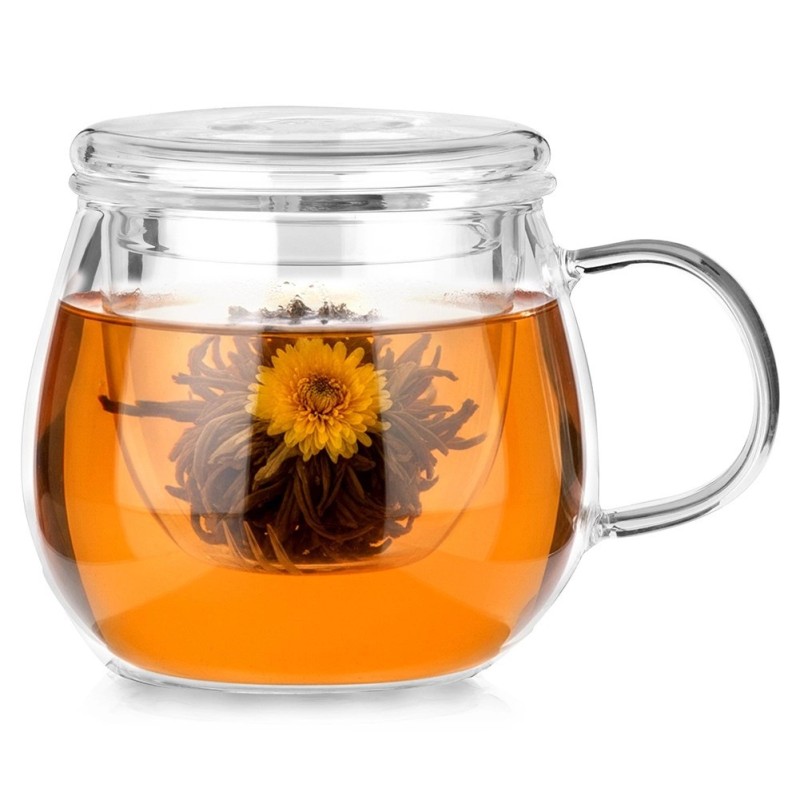 Klaaskruus infuusori ja kaanega, 400 ml