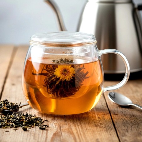Klaaskruus infuusori ja kaanega, 400 ml