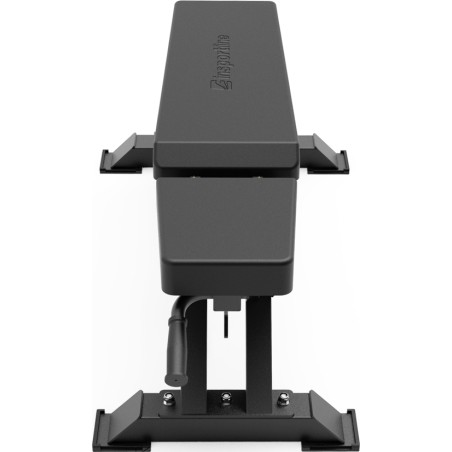 Reguleeritav pink inSPORTline X-NT FB10
