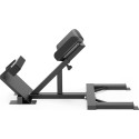 Hüperpikendusmasin inSPORTline X-NT RC40