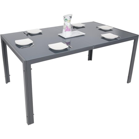 Aialaud 150x90x73 cm tumehall – 5 mm klaas ja terasraam