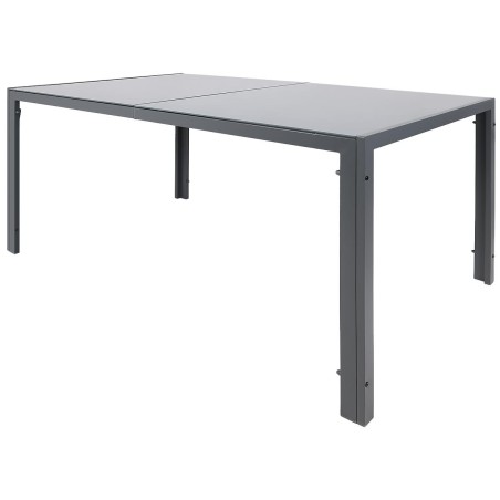 Aialaud 150x90x73 cm tumehall – 5 mm klaas ja terasraam