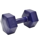 Komposiithantlite komplekt 2x6 kg ENERO FIT – tumesinine