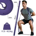Treeningkumm vastupidavuslint Power Band 17,5–42,5 kg lilla ENERO FIT