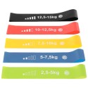 MINI BAND 5in1 ENERO FIT treeningkummide komplekt (5 rihma)