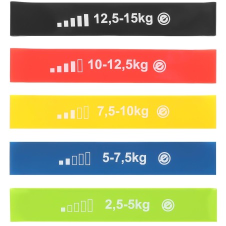 MINI BAND 5in1 ENERO FIT treeningkummide komplekt (5 rihma)