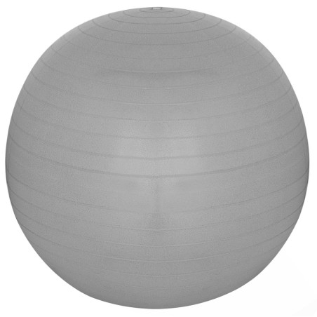 75 cm võimlemispall antiburst hall XQMAX – treeningpall